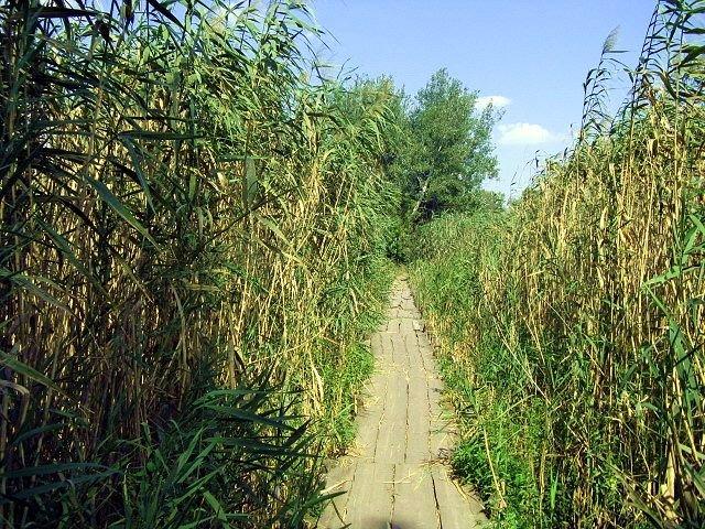 Кримка з panoramio.com - Кримка
