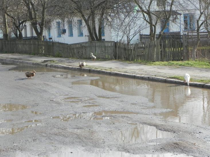 Іваничі з panoramio.com - Іваничі