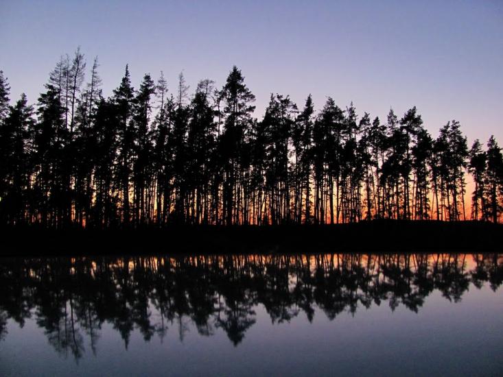 Курган з panoramio.com - Курган