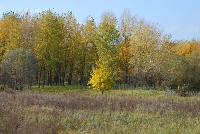 Макошине з panoramio.com - Макошино