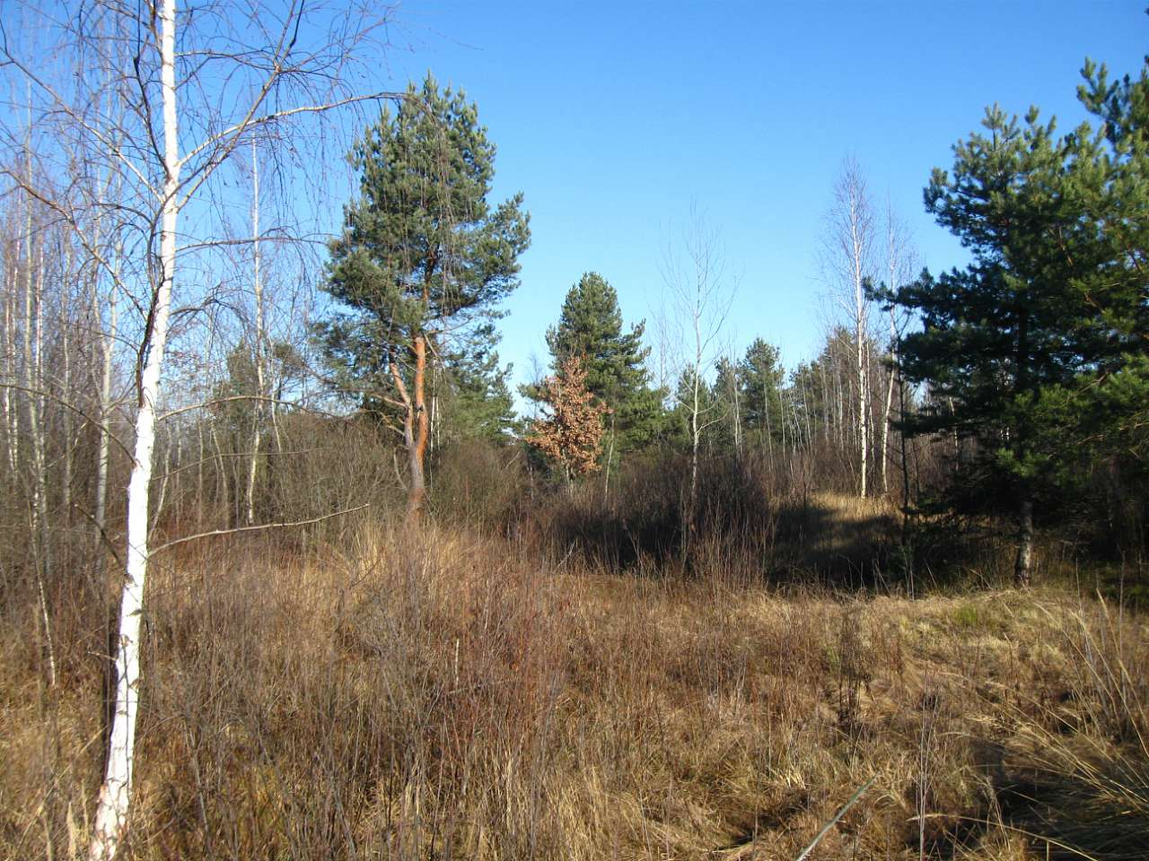 РОПЛЄНКЕ - Небылов