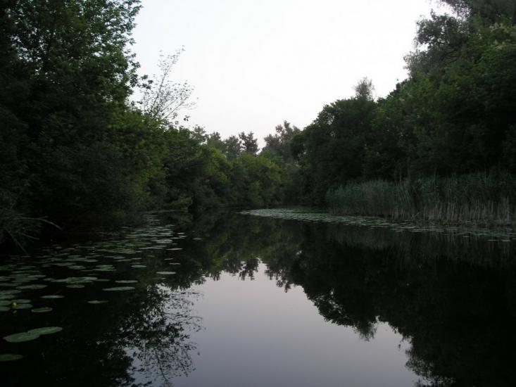 Кринки з panoramio.com - Кринки