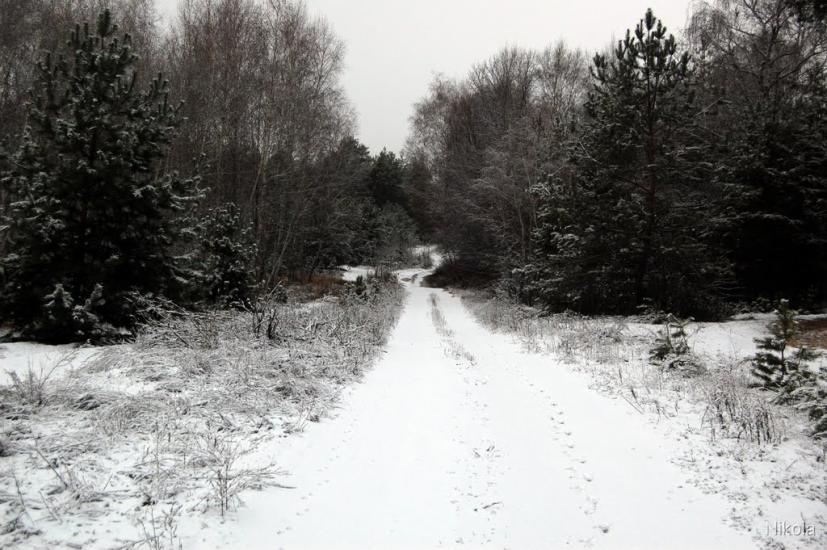 Воронове з panoramio.com - Воронове