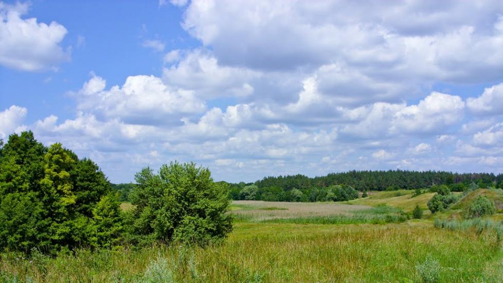 Пашенівка з panoramio.com - Пашеновка