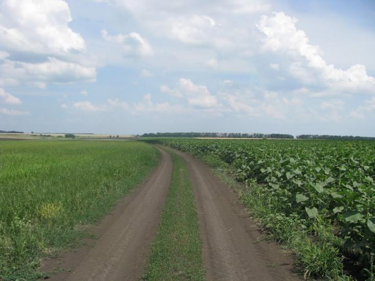 Аркушине з panoramio.com - Аркушино