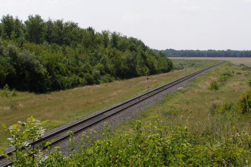 Вербка з panoramio.com - Вербка