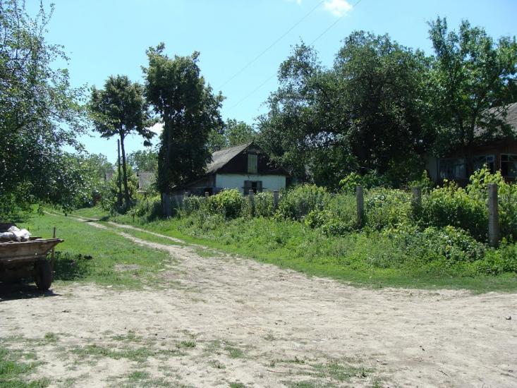 Черемошне з panoramio.com - Черемошне