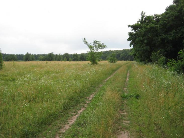 Старосілля з panoramio.com - Старосілля