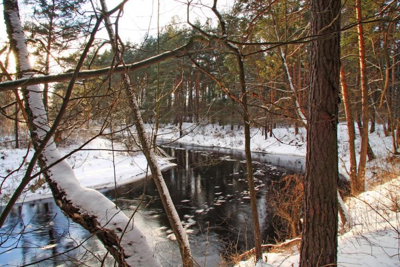 Лопатичі з panoramio.com - Лопатичи