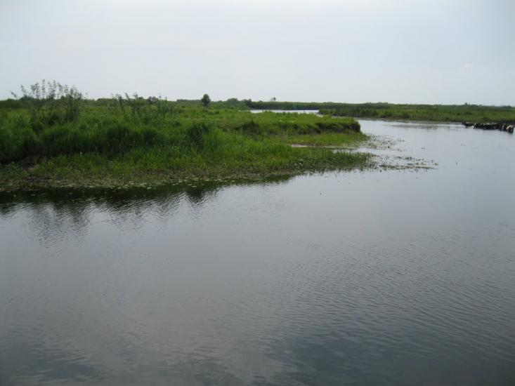 Черче з panoramio.com - Черче