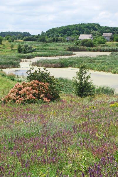 Деньги з panoramio.com - Деньги