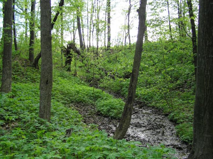 Копай з panoramio.com - Копай