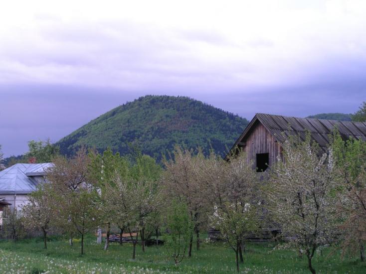 Берегомет з panoramio.com - Берегомет