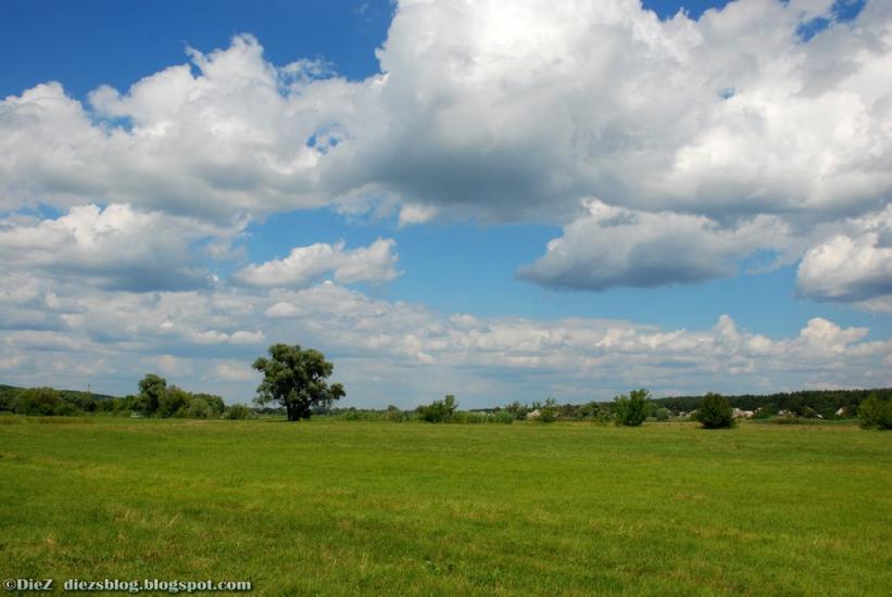 Задонецьке з panoramio.com - Zadonetske