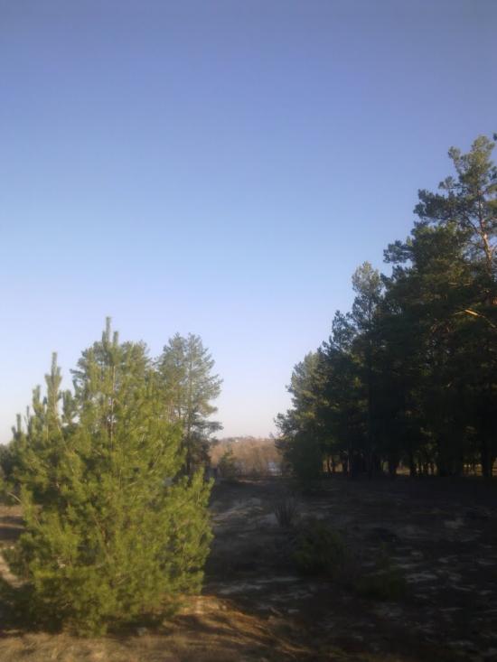 Горбове з panoramio.com - Горбовое