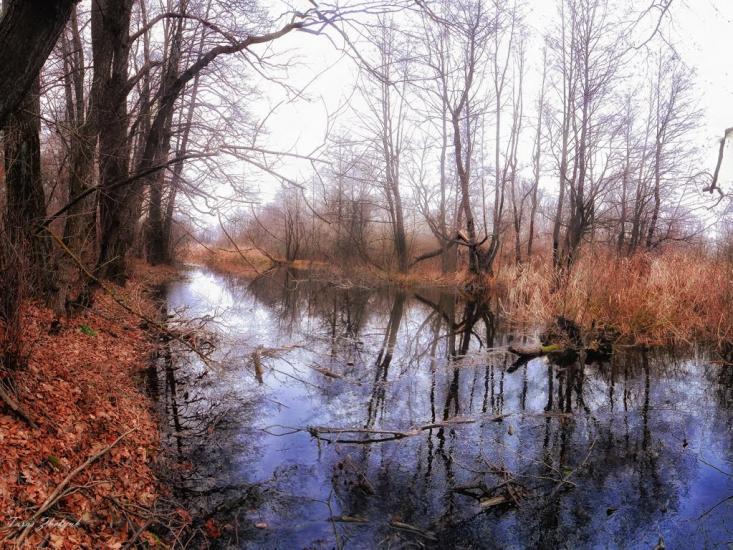 Кримка з panoramio.com - Кримка