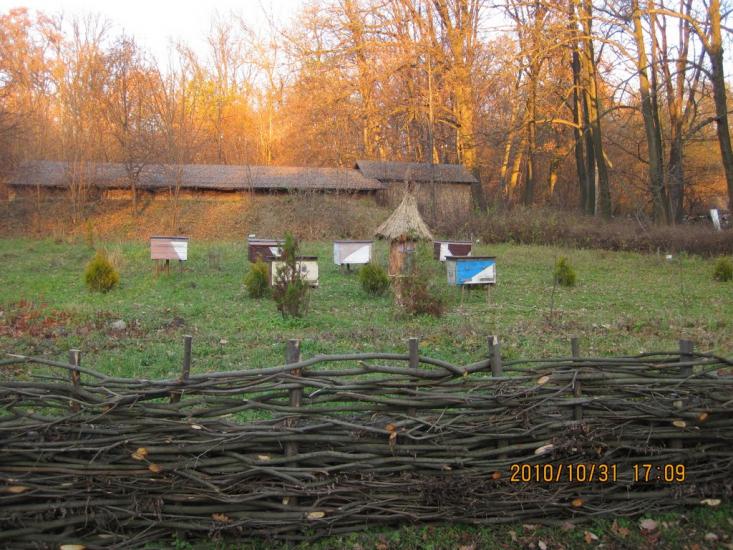 Сторожинець з panoramio.com - Сторожинец