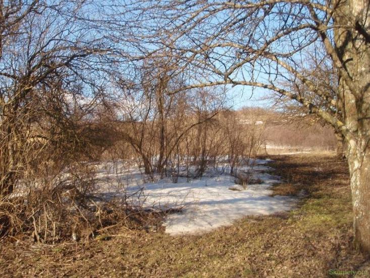 Шкурпели з panoramio.com - Шкурпелы