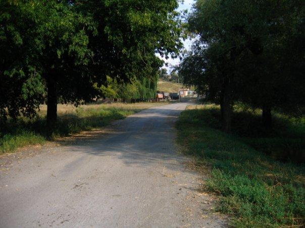 Владиславка з panoramio.com - Владиславка