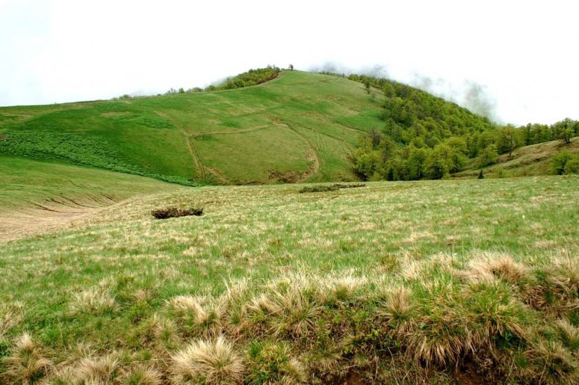 Білин з panoramio.com - Білин