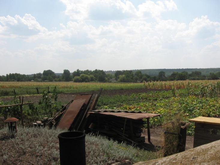 Зелений Гай з panoramio.com - Зелений Гай