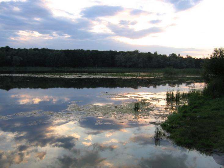 Задонецьке з panoramio.com - Zadonetske