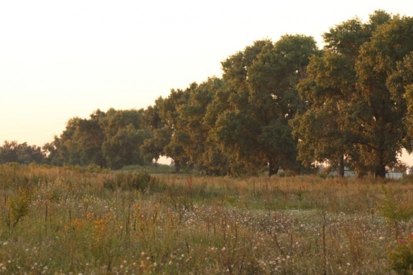 Хоцьки з panoramio.com - Хоцки
