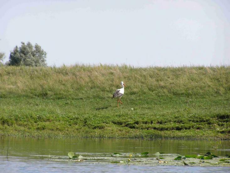 Нижній Бишкин з panoramio.com - Нижній Бишкин