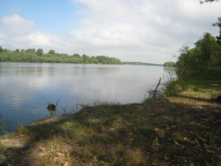 Остер з panoramio.com - Остер