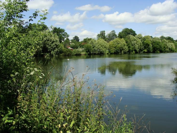 Черемошне з panoramio.com - Cheremoshne