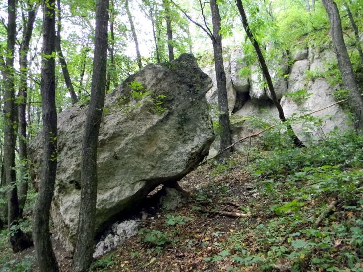 Кринцілів з panoramio.com - Кринцілів