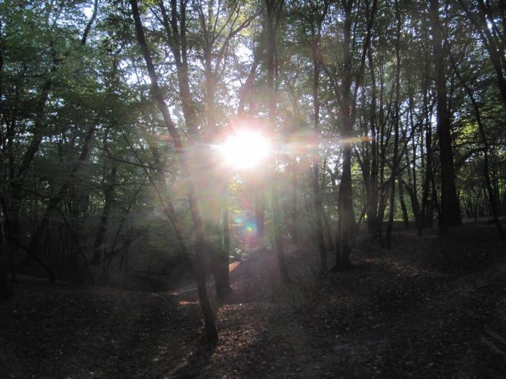 Ставище з panoramio.com - Ставище