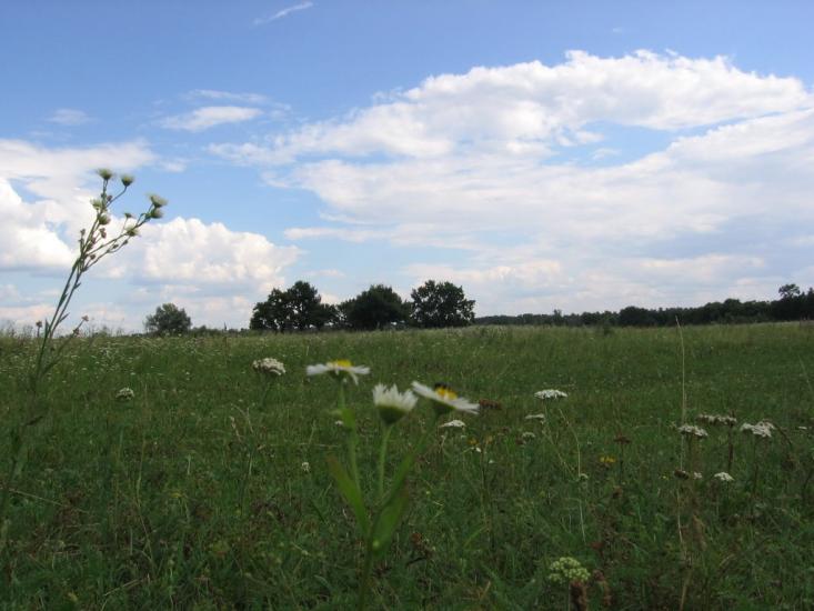 Романків з panoramio.com - Романков