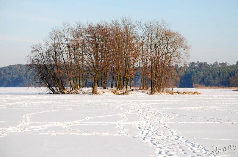 Тетерівка з panoramio.com - Тетерівка