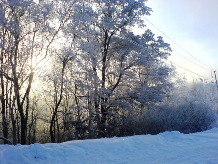 Великі Будища з panoramio.com - Великие Будища