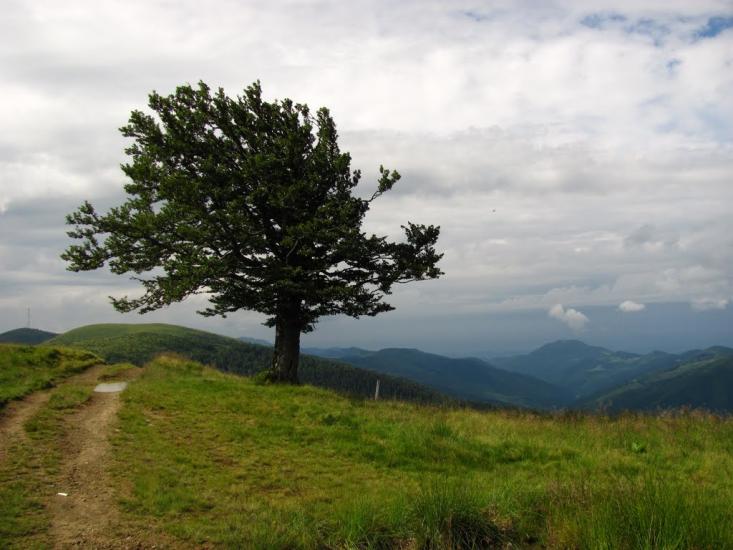 Білин з panoramio.com - Білин