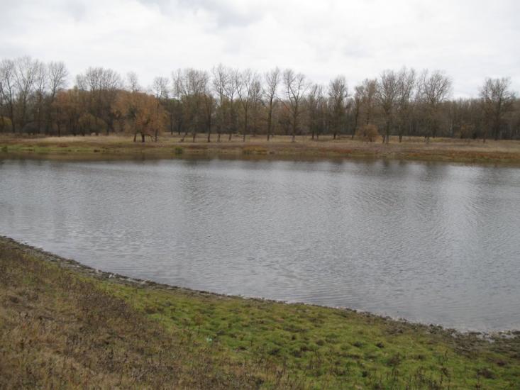 Брусилів з panoramio.com - Брусилов