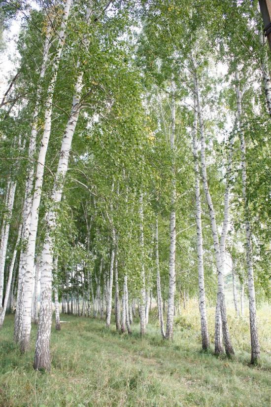 Люботин з panoramio.com - Люботин