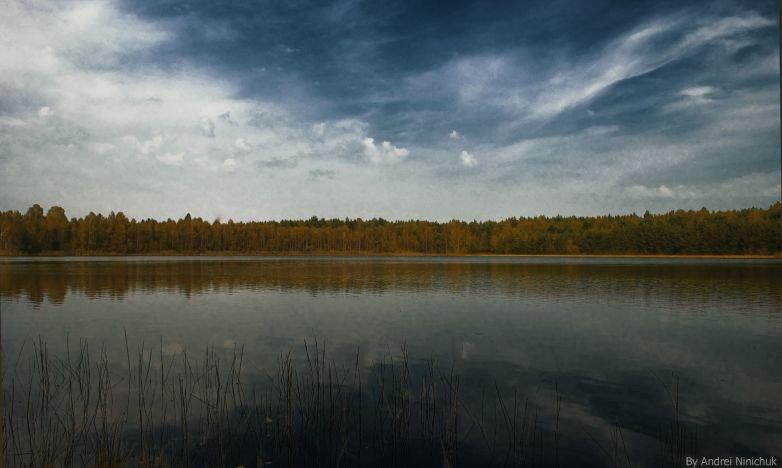 Піски-Річицькі з panoramio.com - Піски-Річицькі