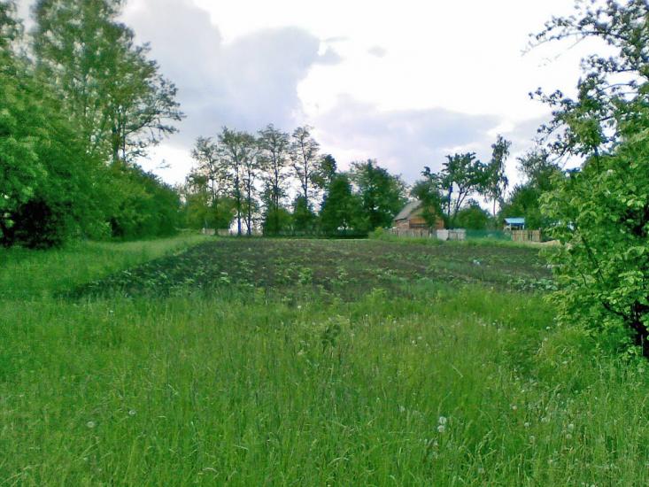 Баламутівка з panoramio.com - Баламутівка