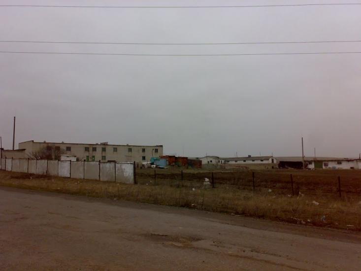 Селезнівка з panoramio.com - Селезневка