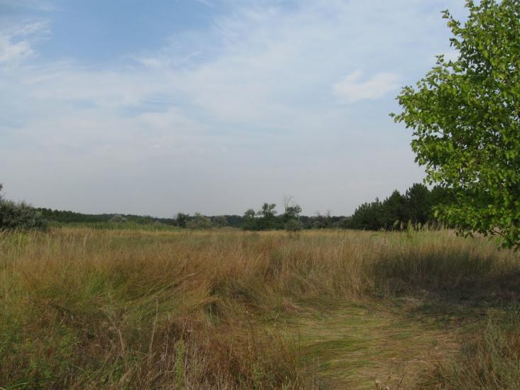 Раденськ з panoramio.com - Radensk
