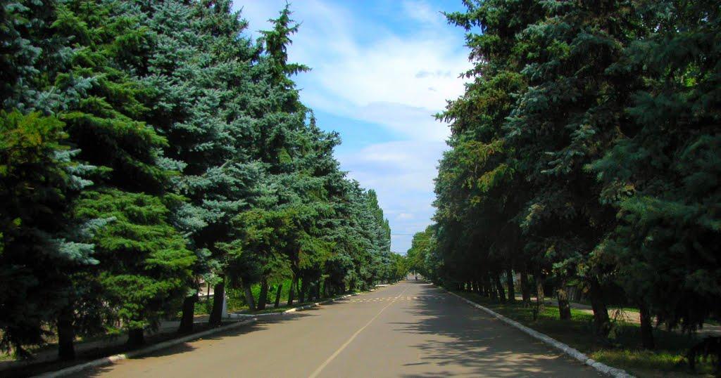 Времівка з panoramio.com - Времьевка