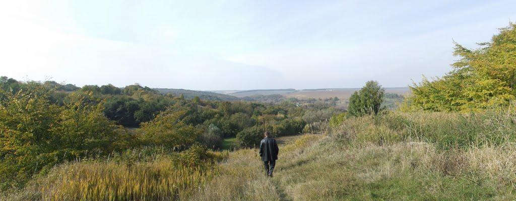 Водяники з panoramio.com - Водяники