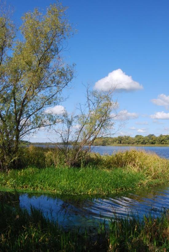Сокирна з panoramio.com - Сокирна