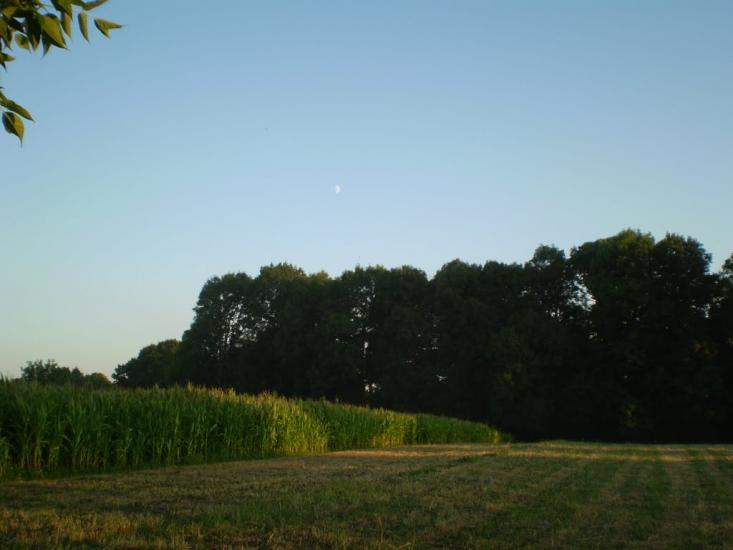 Клебанівка з panoramio.com - Клебанівка