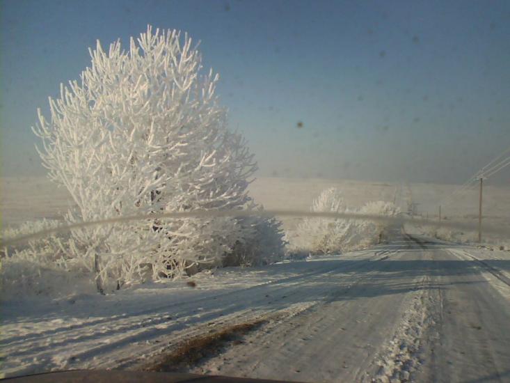 Черленівка з panoramio.com - Черленівка