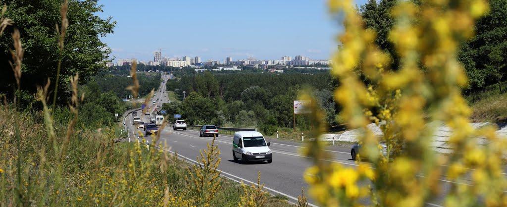 Зайченки з panoramio.com - Зайченки
