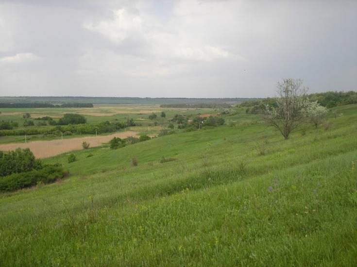 Катеринка з panoramio.com - Катеринка