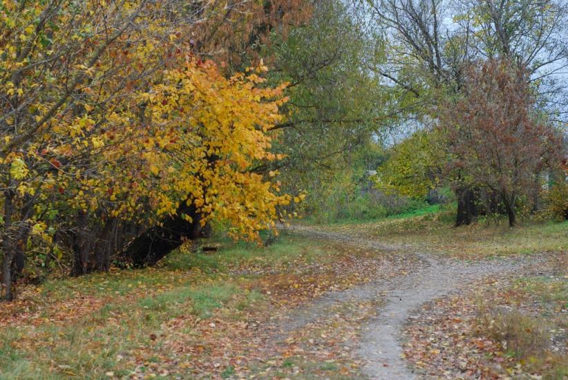 Остапівка з panoramio.com - Остапівка